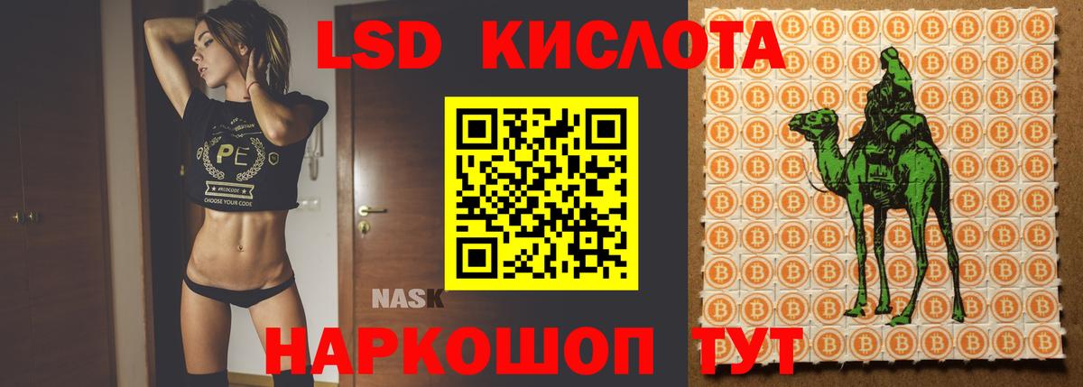 LSD-25 экстази кислота  MEGA зеркало  Вход с VPN  Урус-Мартан  ЛСД экстази ecstasy  Лсд 25 экстази 