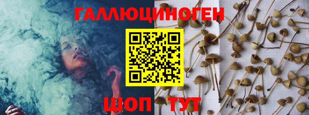 Псилоцибиновые грибы MAGIC MUSHROOMS  Псилоцибиновые грибы Psilocybine cubensis  Урус-Мартан  Вход с VPN 