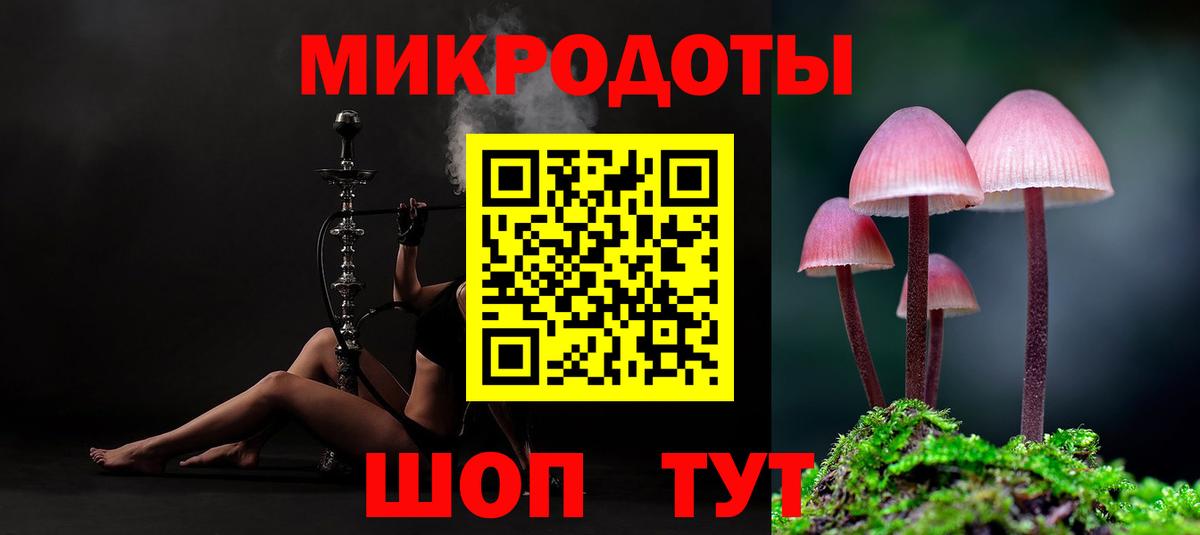 Псилоцибиновые грибы прущие грибы Урус-Мартан